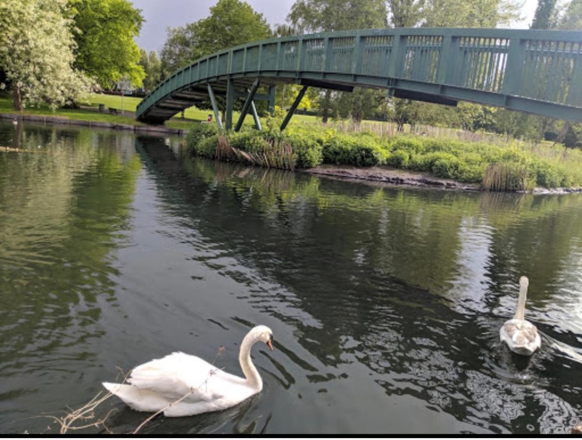 Beddington Park Lodge East Wallington Kültér fotó