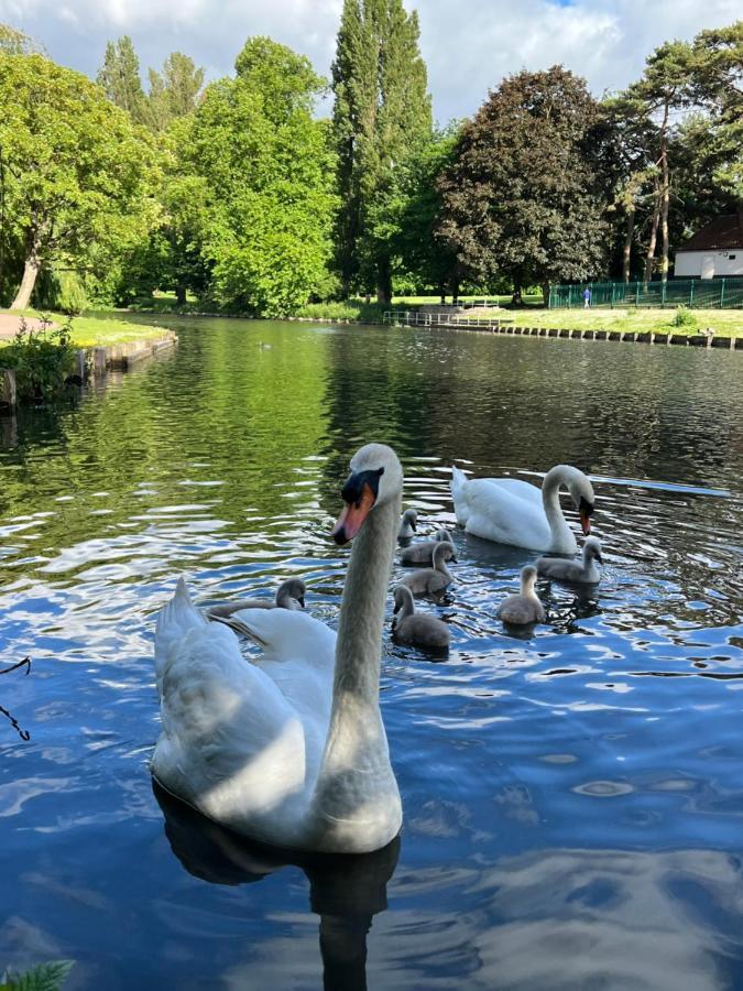Beddington Park Lodge East Wallington Kültér fotó
