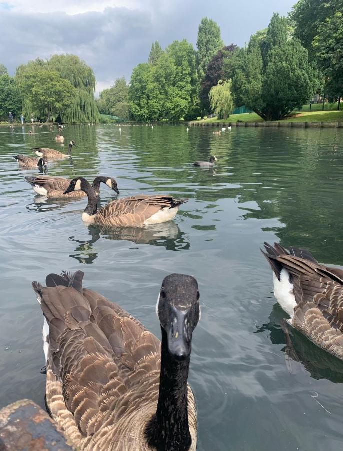 Beddington Park Lodge East Wallington Kültér fotó