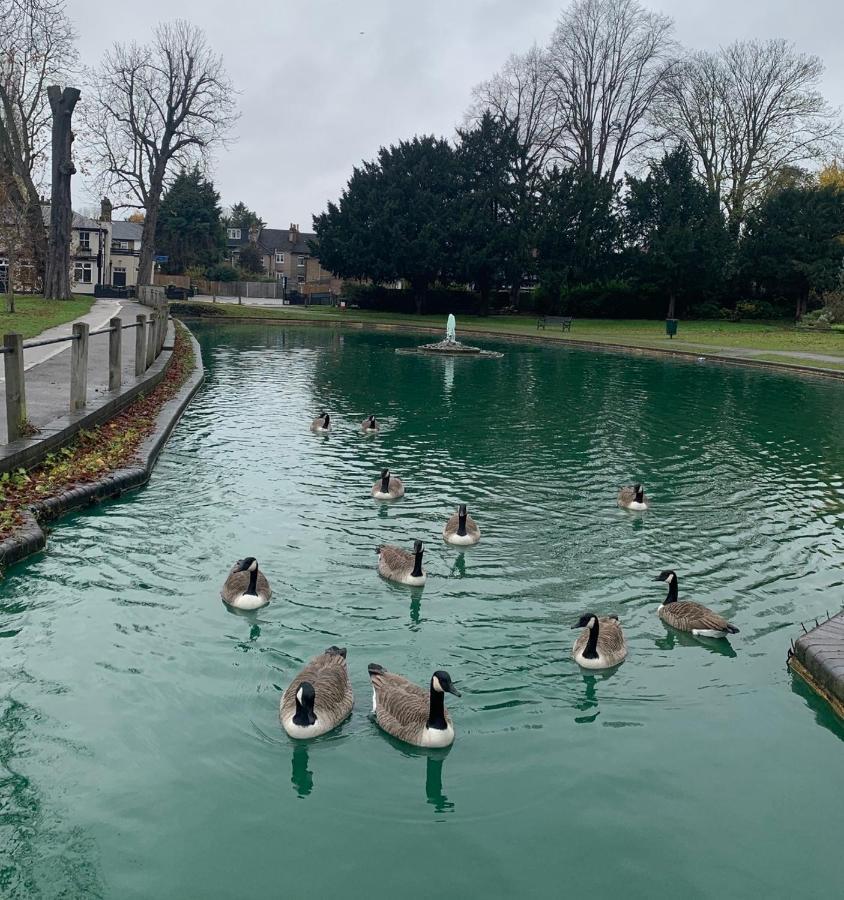 Beddington Park Lodge East Wallington Kültér fotó